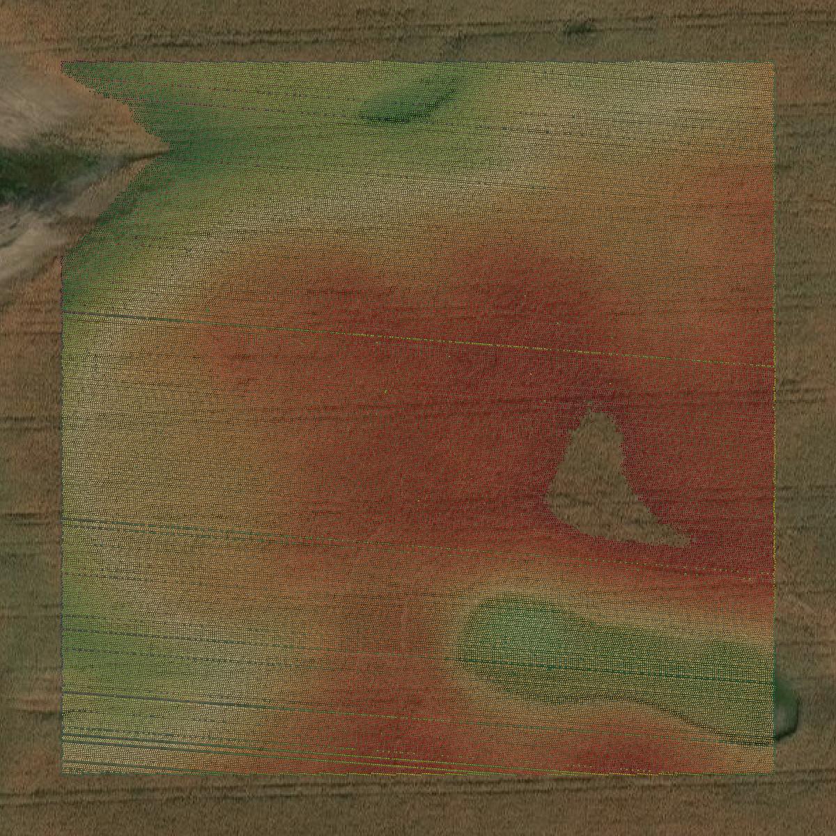 This image shows a LiDAR point cloud in Burleigh County created using GIS data in Equator.
