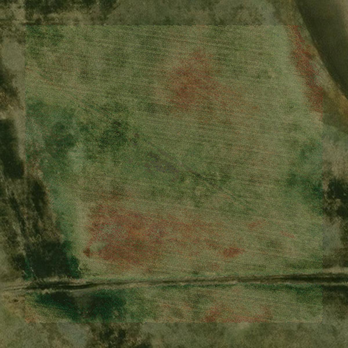 This image shows a LiDAR point cloud in Cavalier County created using GIS data in Equator.