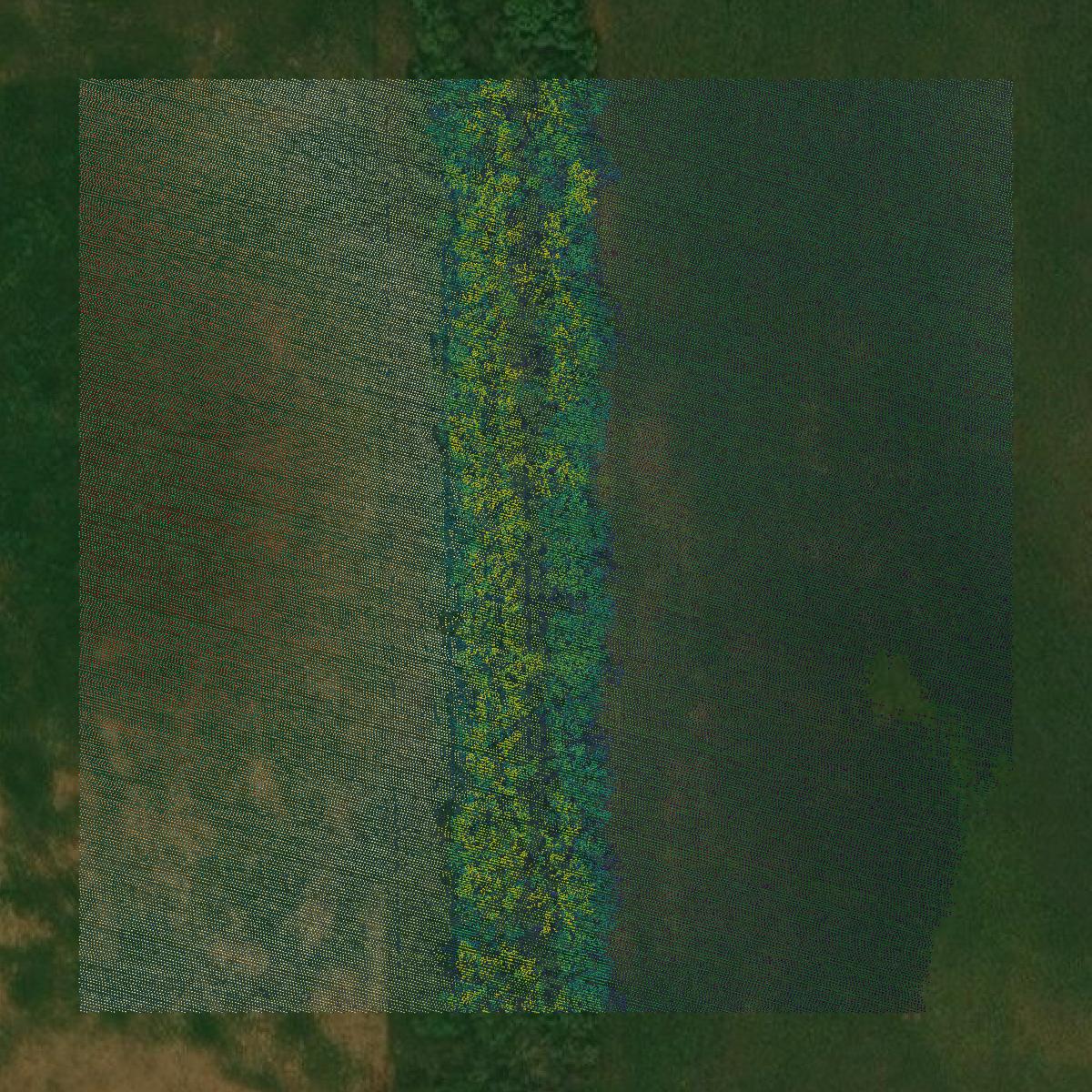 This image shows a LiDAR point cloud in Eddy County created using GIS data in Equator.
