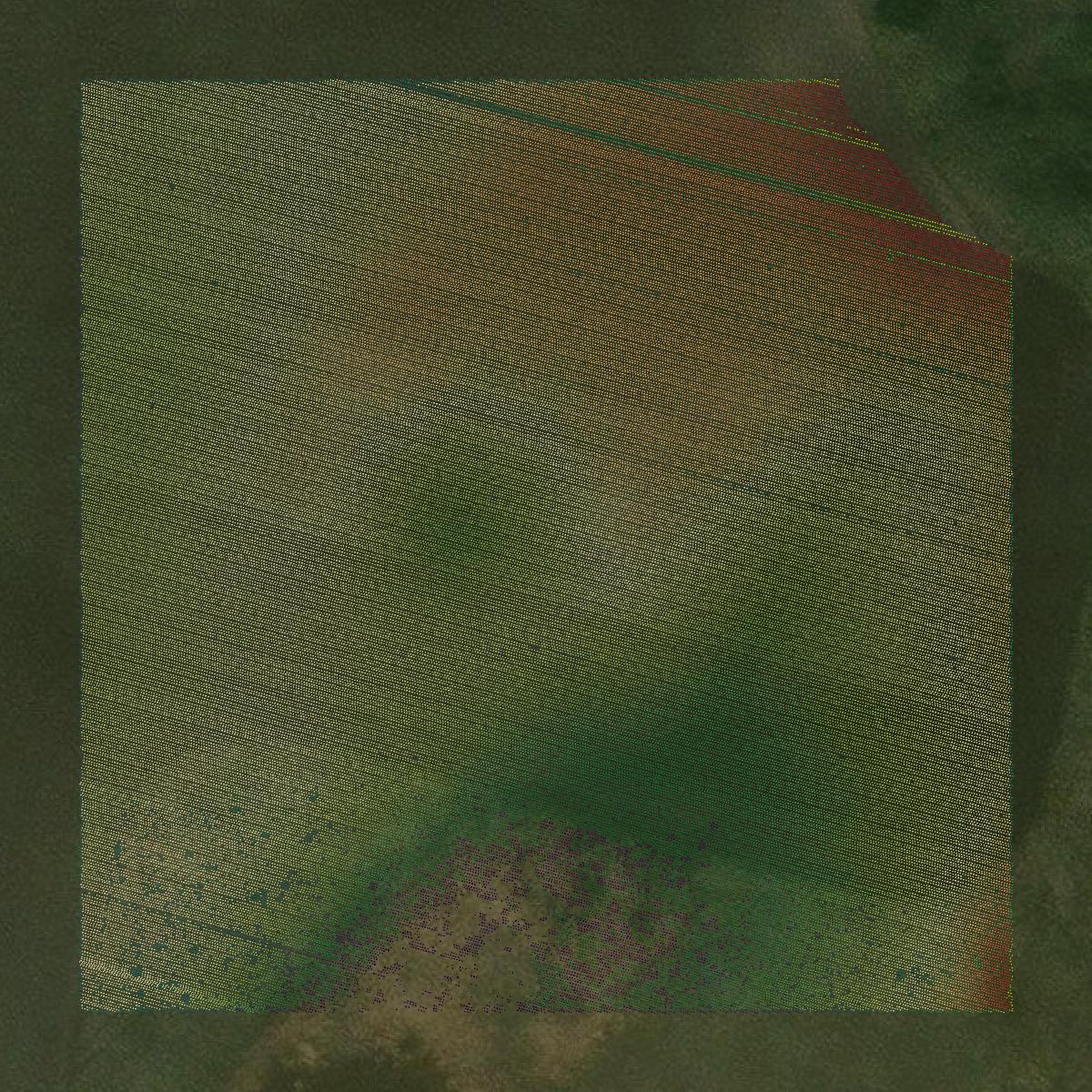 This image shows a LiDAR point cloud in Eddy County created using GIS data in Equator.