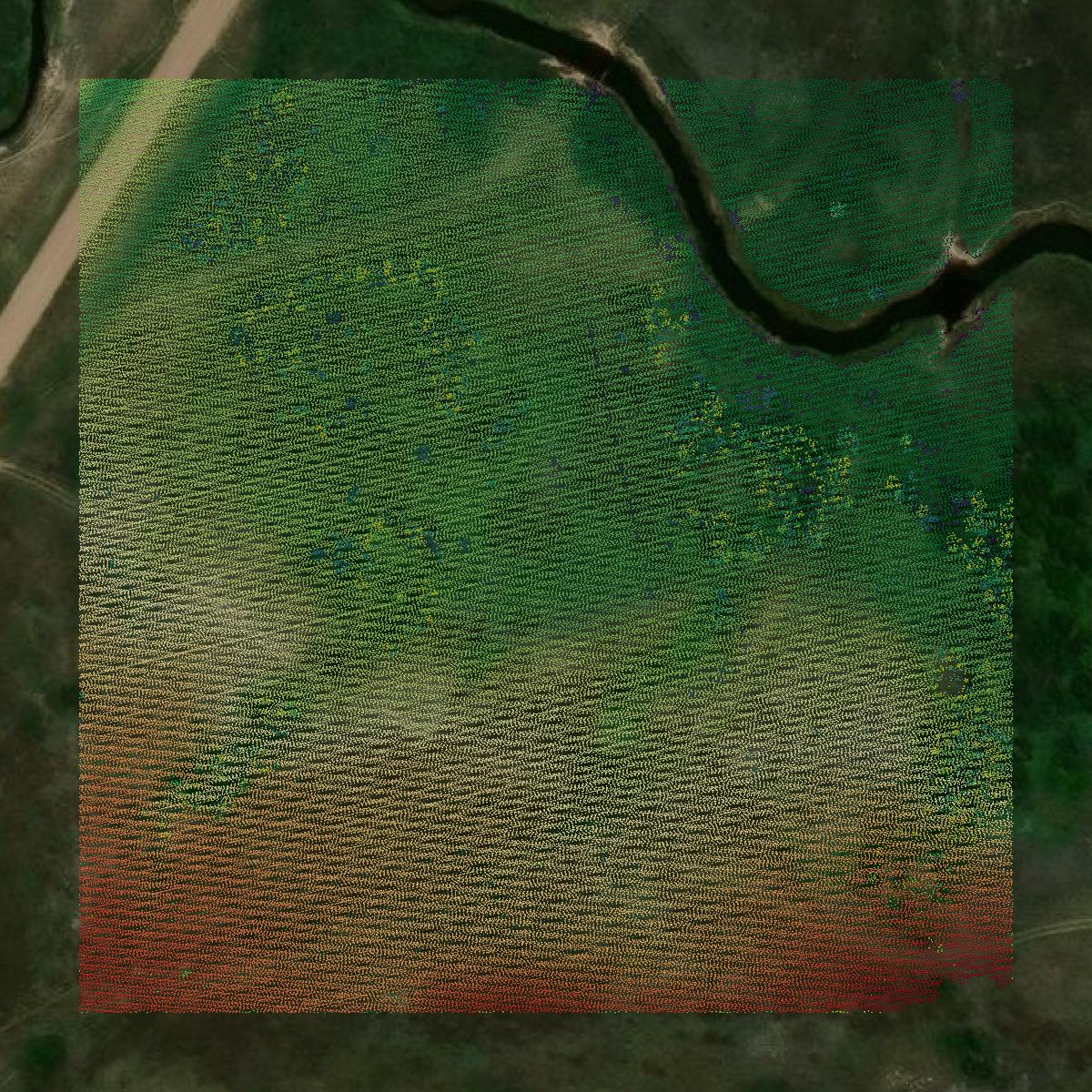 This image shows a LiDAR point cloud in Golden Valley County created using GIS data in Equator.
