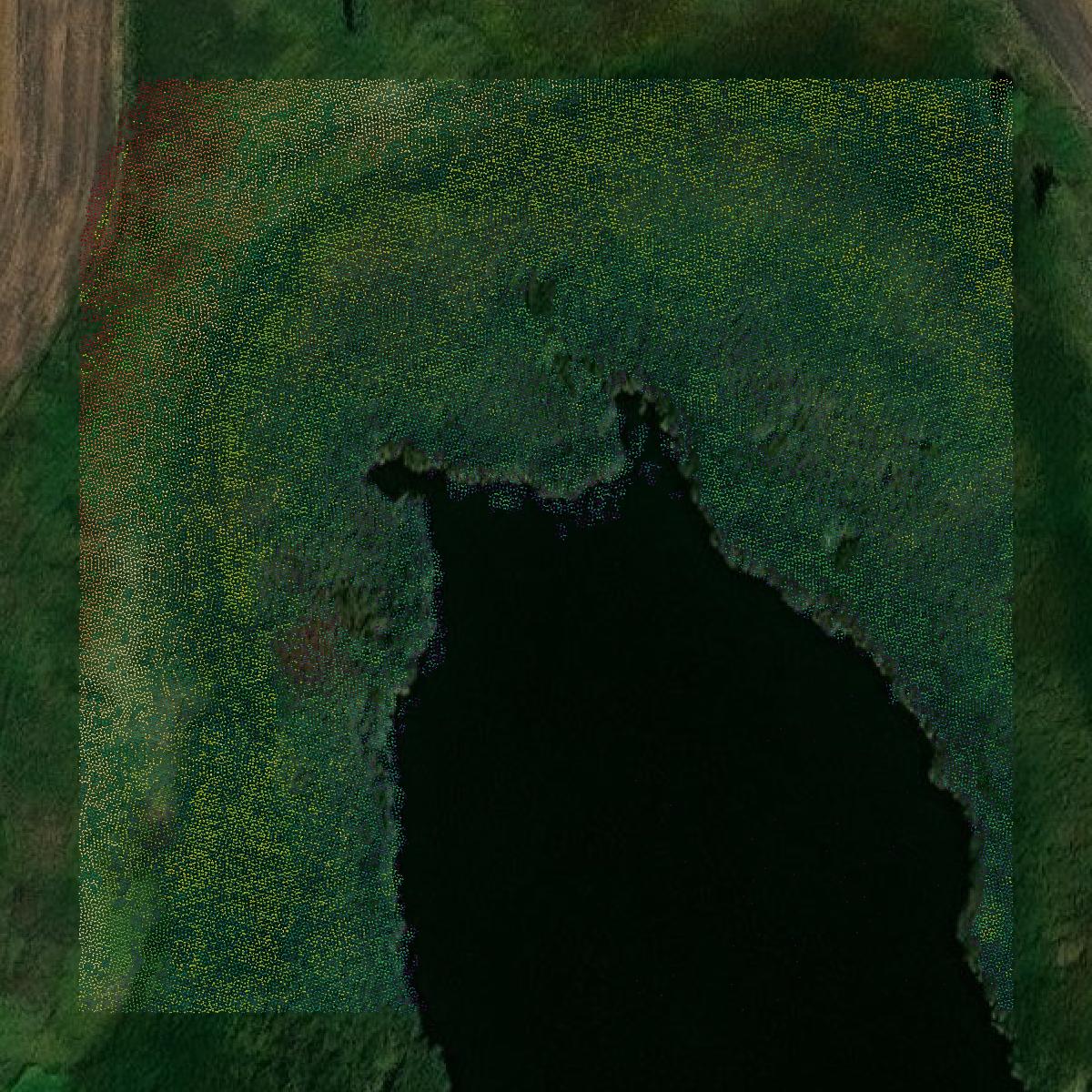 This image shows a LiDAR point cloud in Griggs County created using GIS data in Equator.