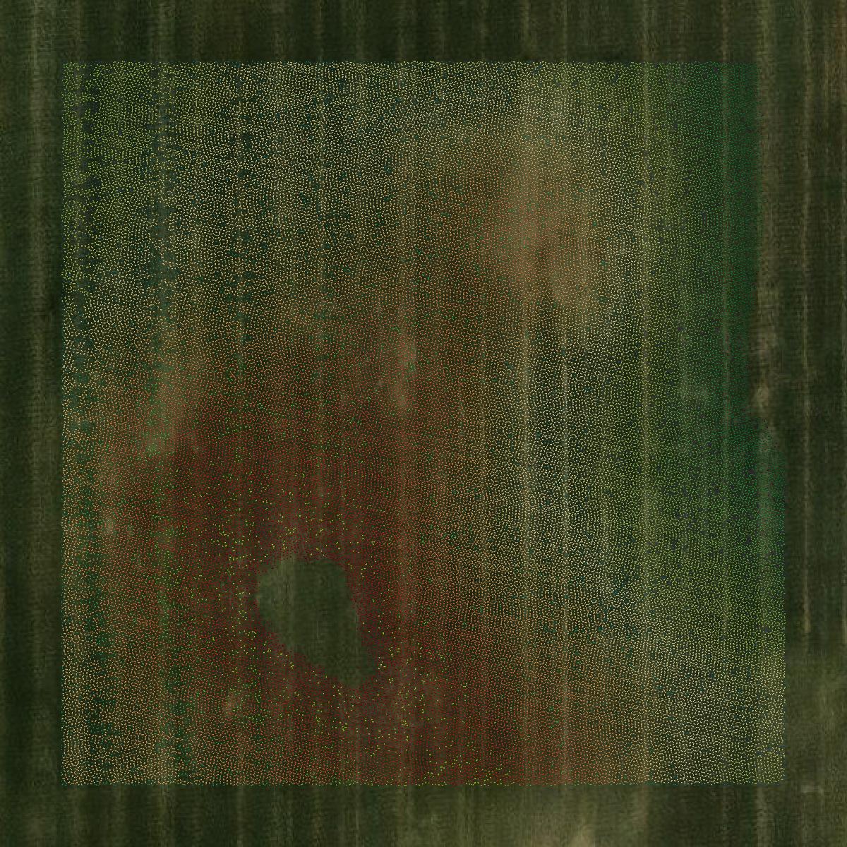 This image shows a LiDAR point cloud in Hettinger County created using GIS data in Equator.