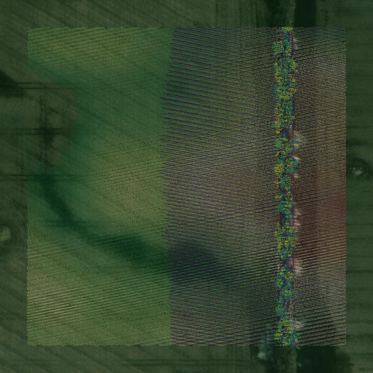 This image shows a LiDAR point cloud in LaMoure County created using GIS data in Equator.