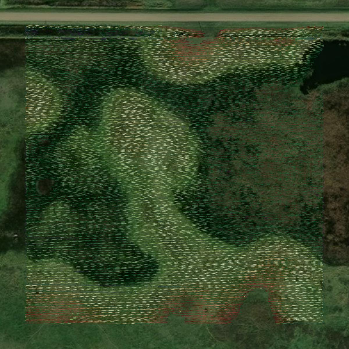 This image shows a LiDAR point cloud in McHenry County created using GIS data in Equator.