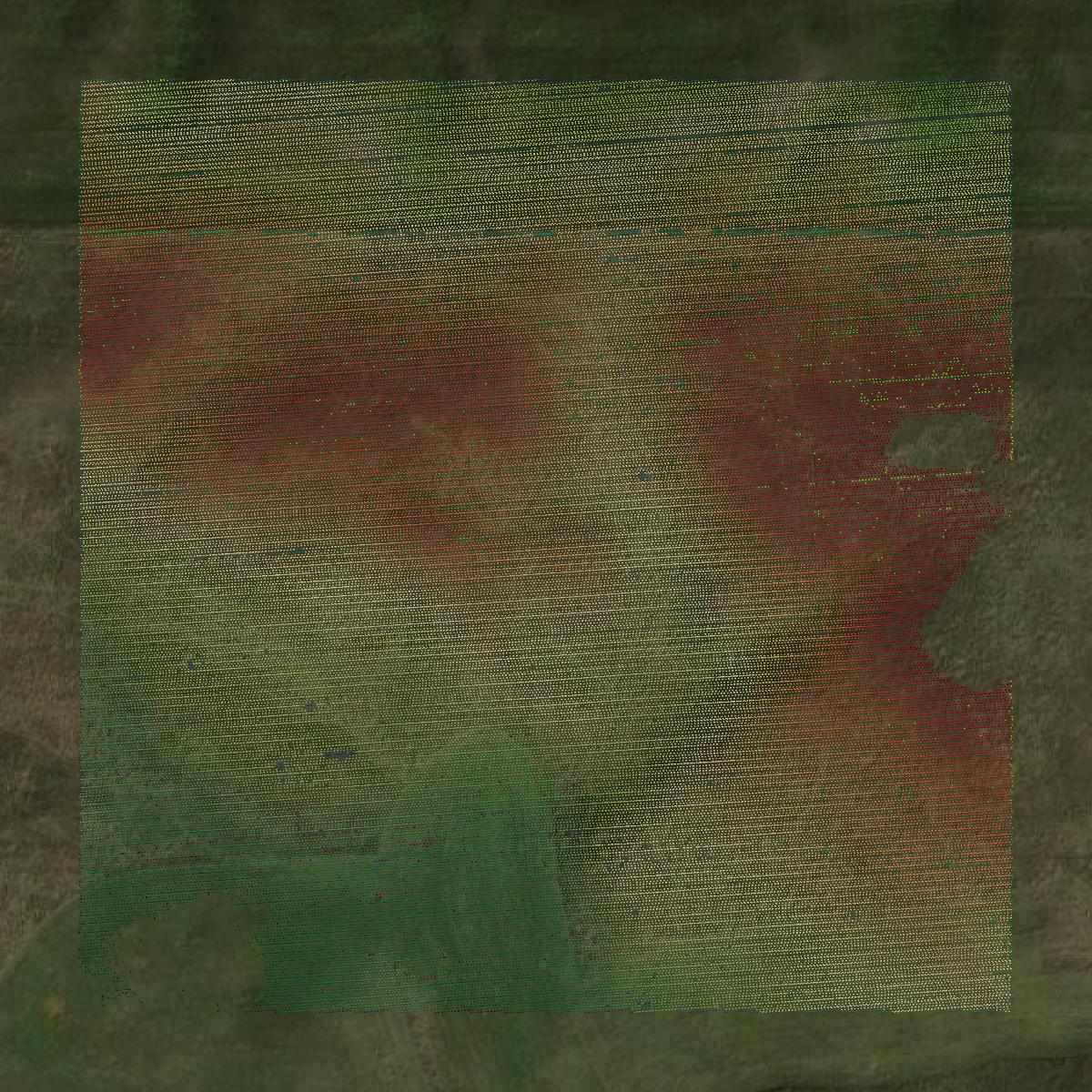 This image shows a LiDAR point cloud in McIntosh County created using GIS data in Equator.