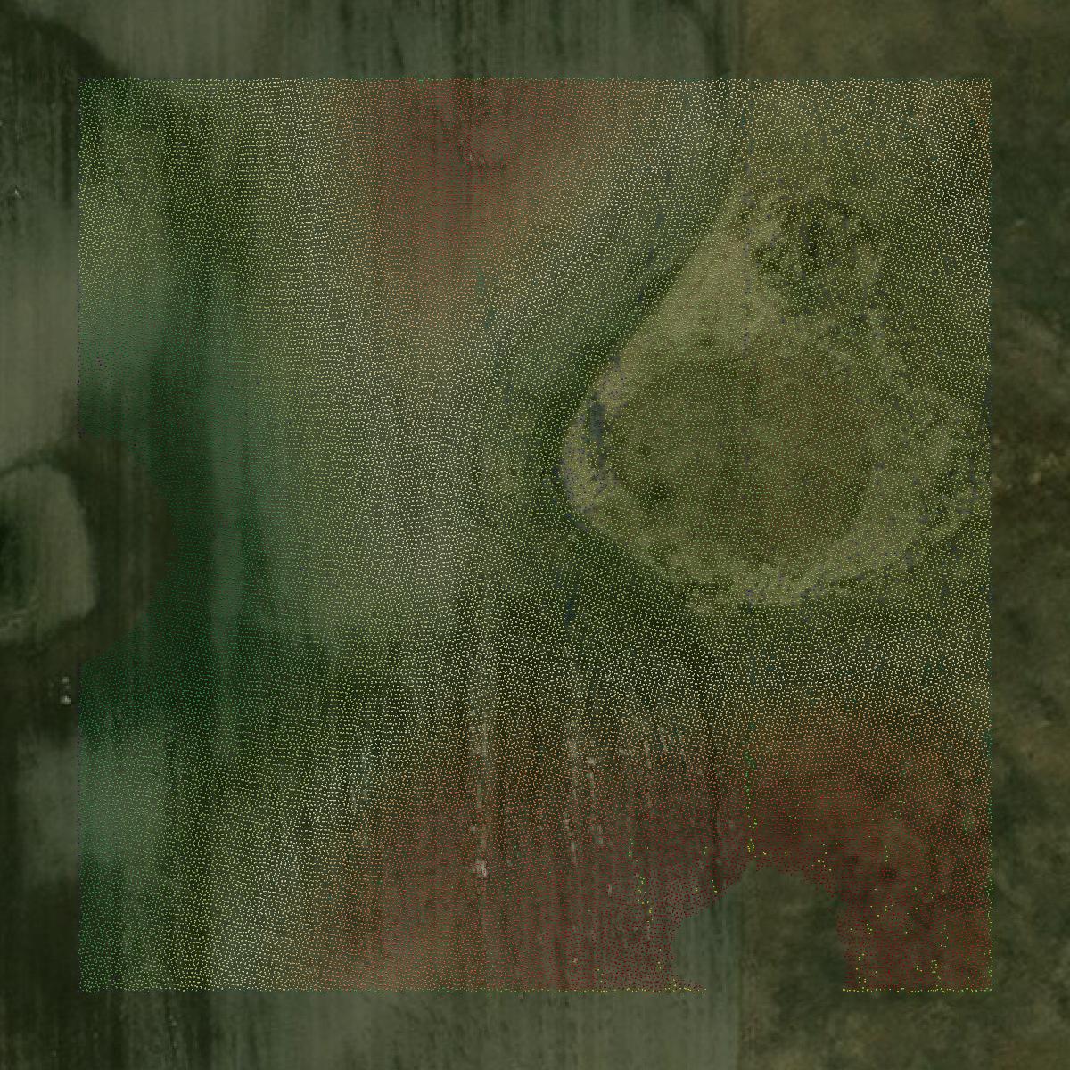 This image shows a LiDAR point cloud in McLean County created using GIS data in Equator.