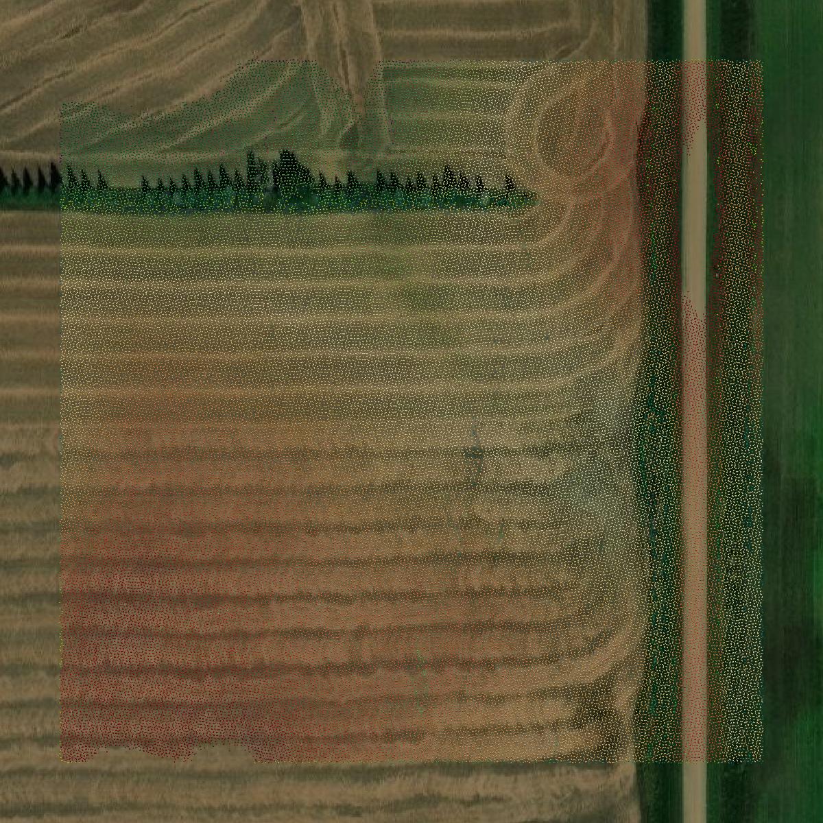 This image shows a LiDAR point cloud in McLean County created using GIS data in Equator.