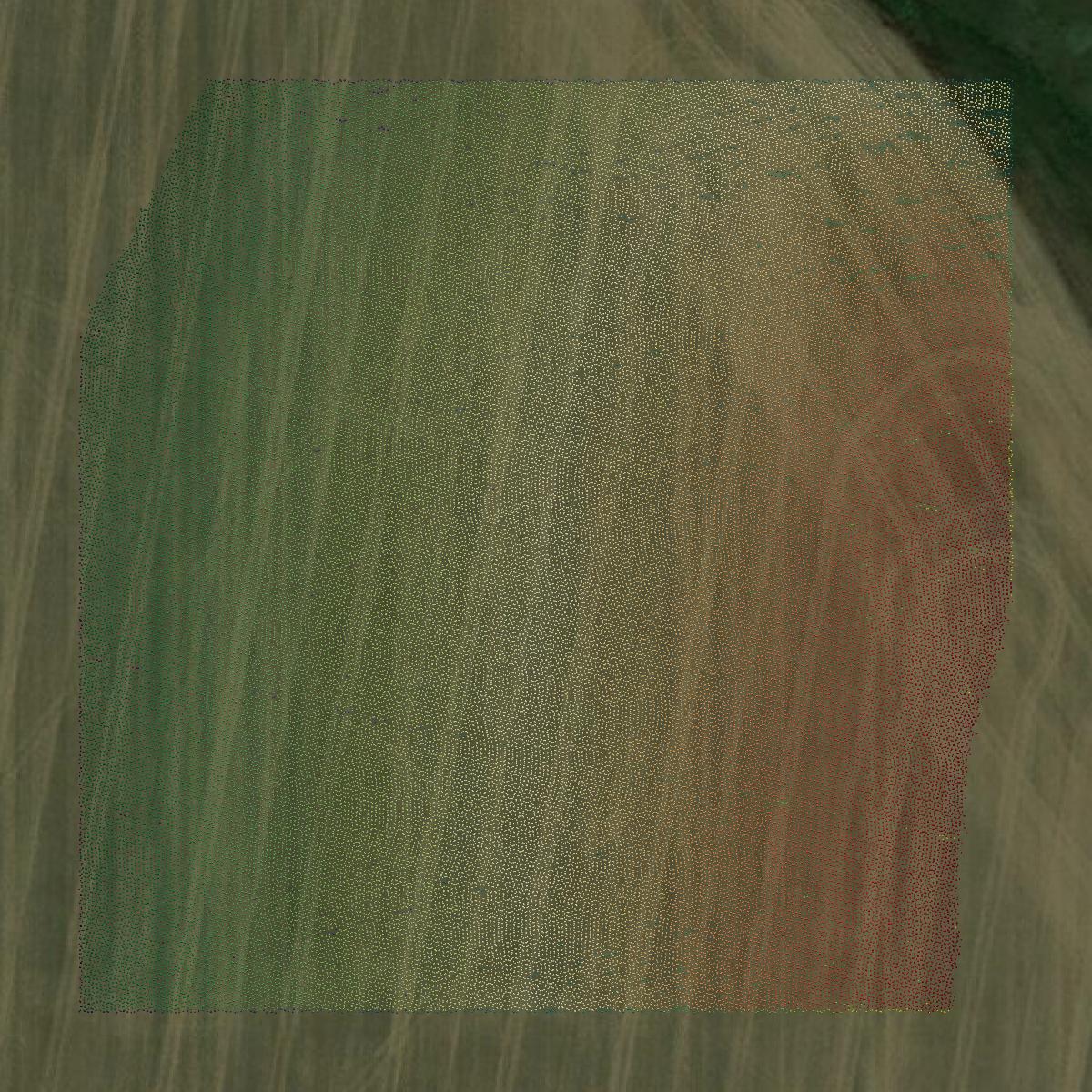 This image shows a LiDAR point cloud in Mercer County created using GIS data in Equator.