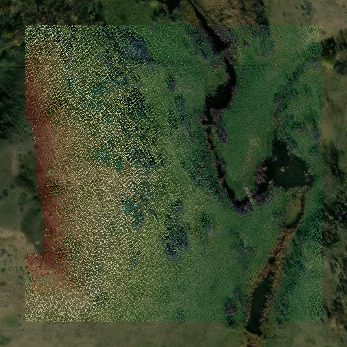 This image shows a LiDAR point cloud in Mercer County created using GIS data in Equator.