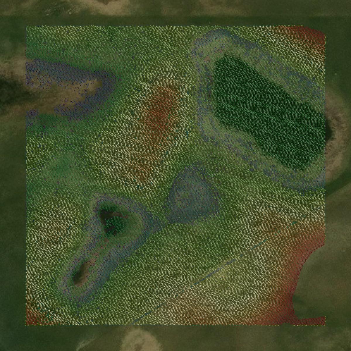 This image shows a LiDAR point cloud in Nelson County created using GIS data in Equator.