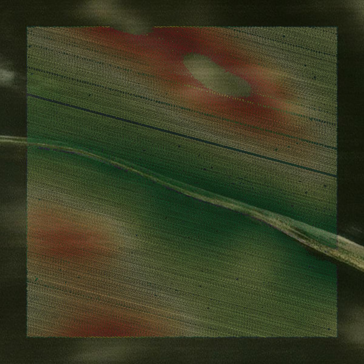 This image shows a LiDAR point cloud in Nelson County created using GIS data in Equator.