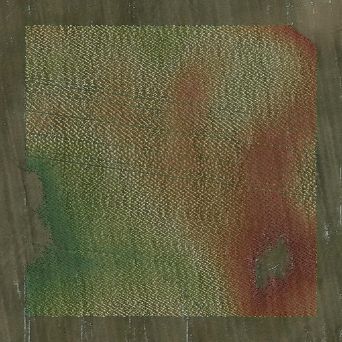 This image shows a LiDAR point cloud in Pierce County created using GIS data in Equator.