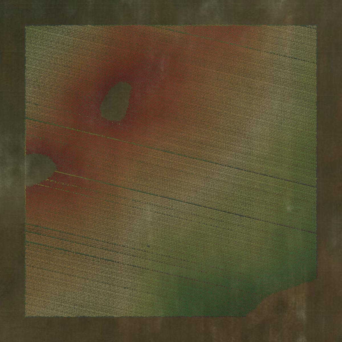 This image shows a LiDAR point cloud in Pierce County created using GIS data in Equator.