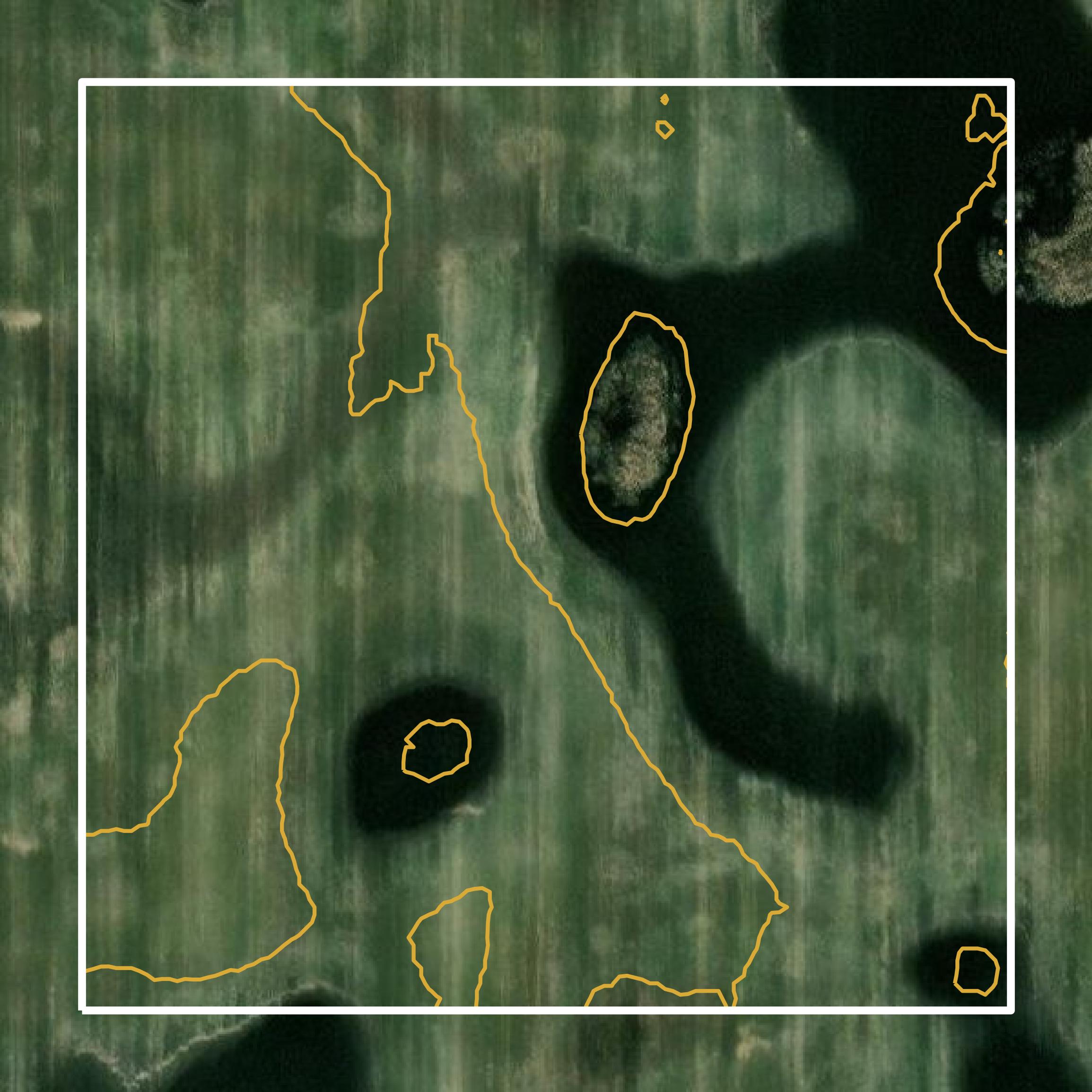 This image shows a contour map in Renville County created using GIS data in Equator.