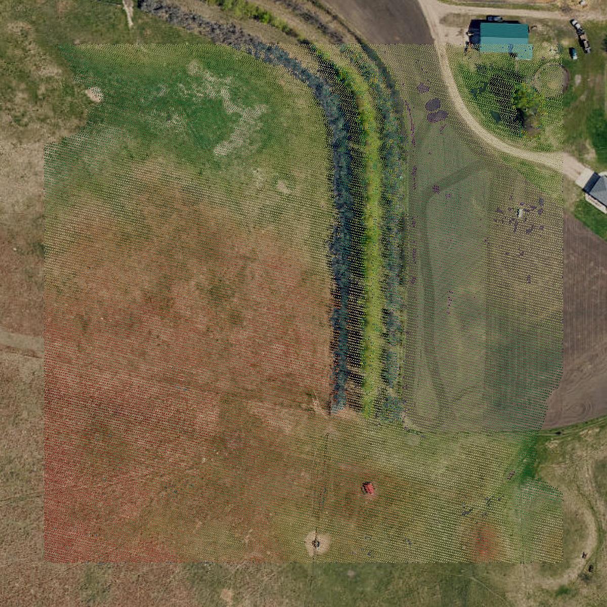 This image shows a LiDAR point cloud in Richland County created using GIS data in Equator.