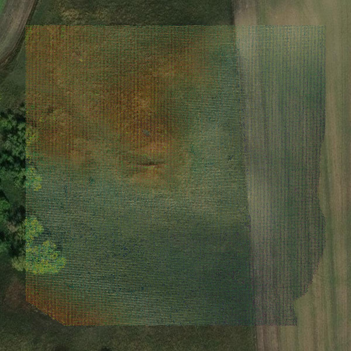 This image shows a LiDAR point cloud in Rolette County created using GIS data in Equator.