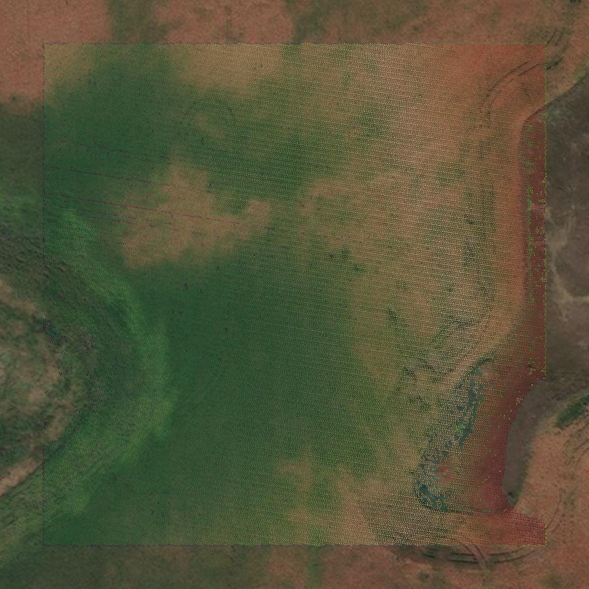 This image shows a LiDAR point cloud in Sargent County created using GIS data in Equator.