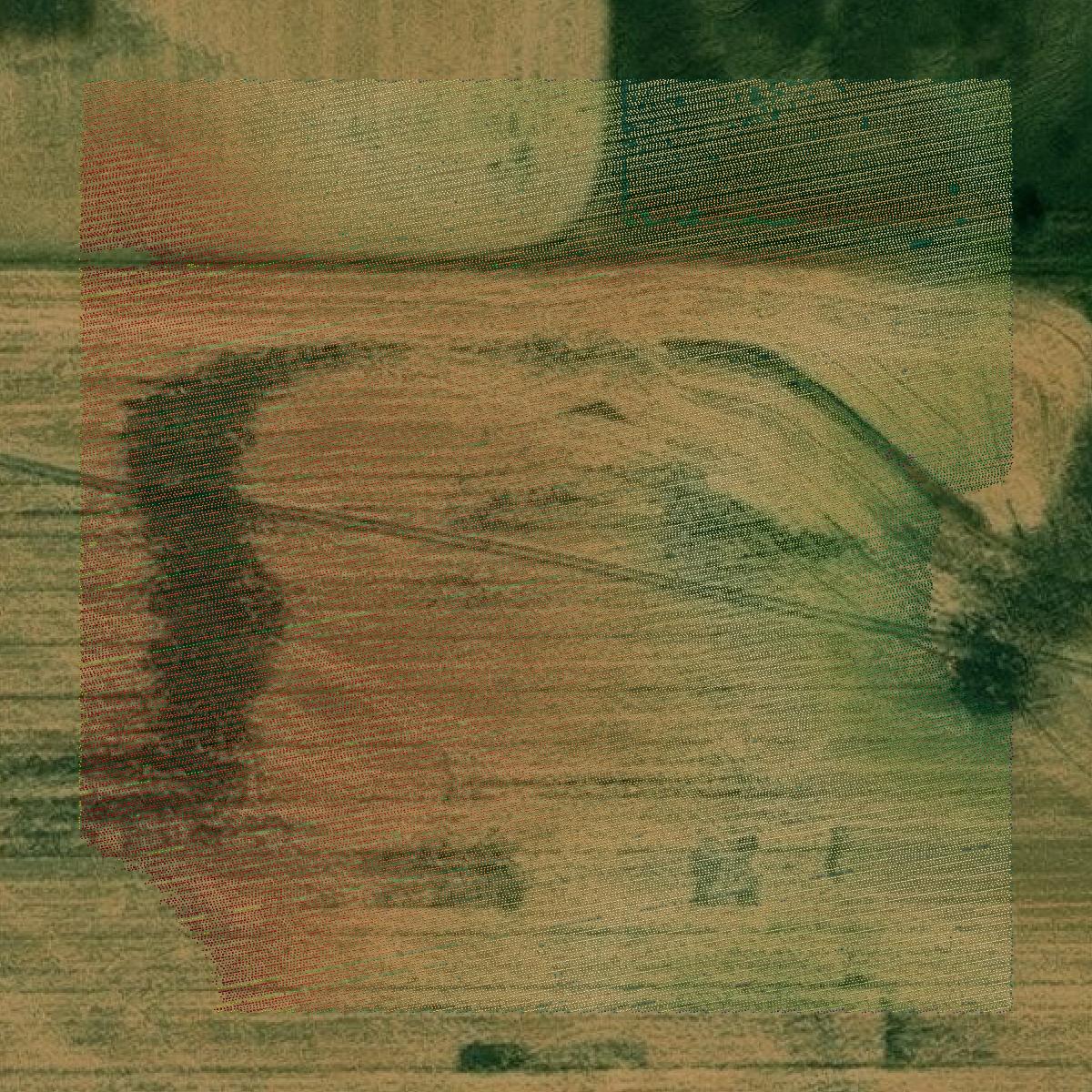 This image shows a LiDAR point cloud in Sargent County created using GIS data in Equator.