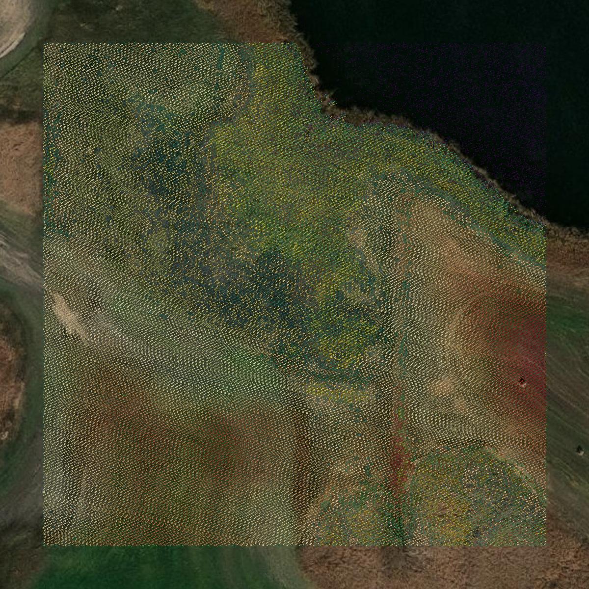 This image shows a LiDAR point cloud in Sheridan County created using GIS data in Equator.