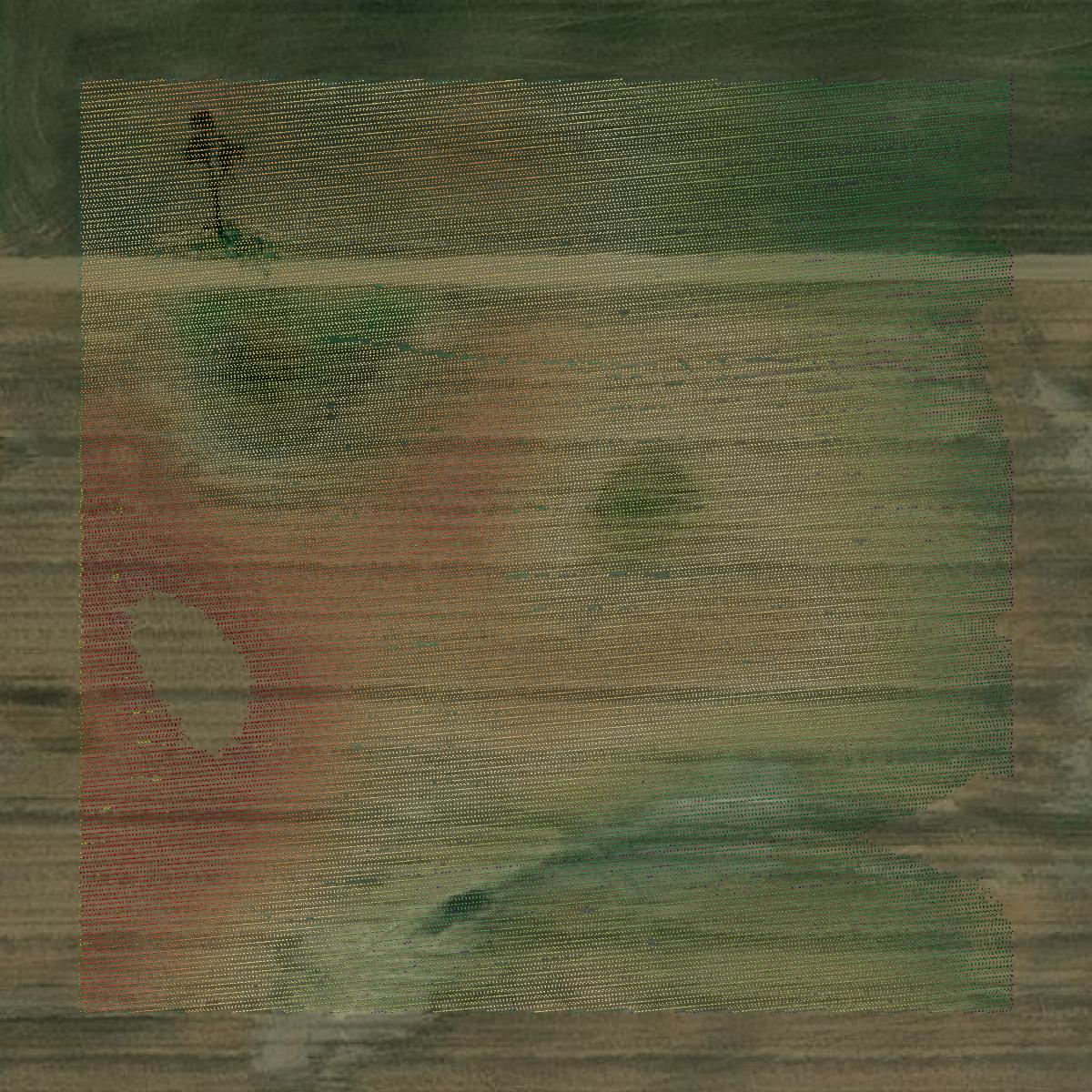 This image shows a LiDAR point cloud in Wells County created using GIS data in Equator.