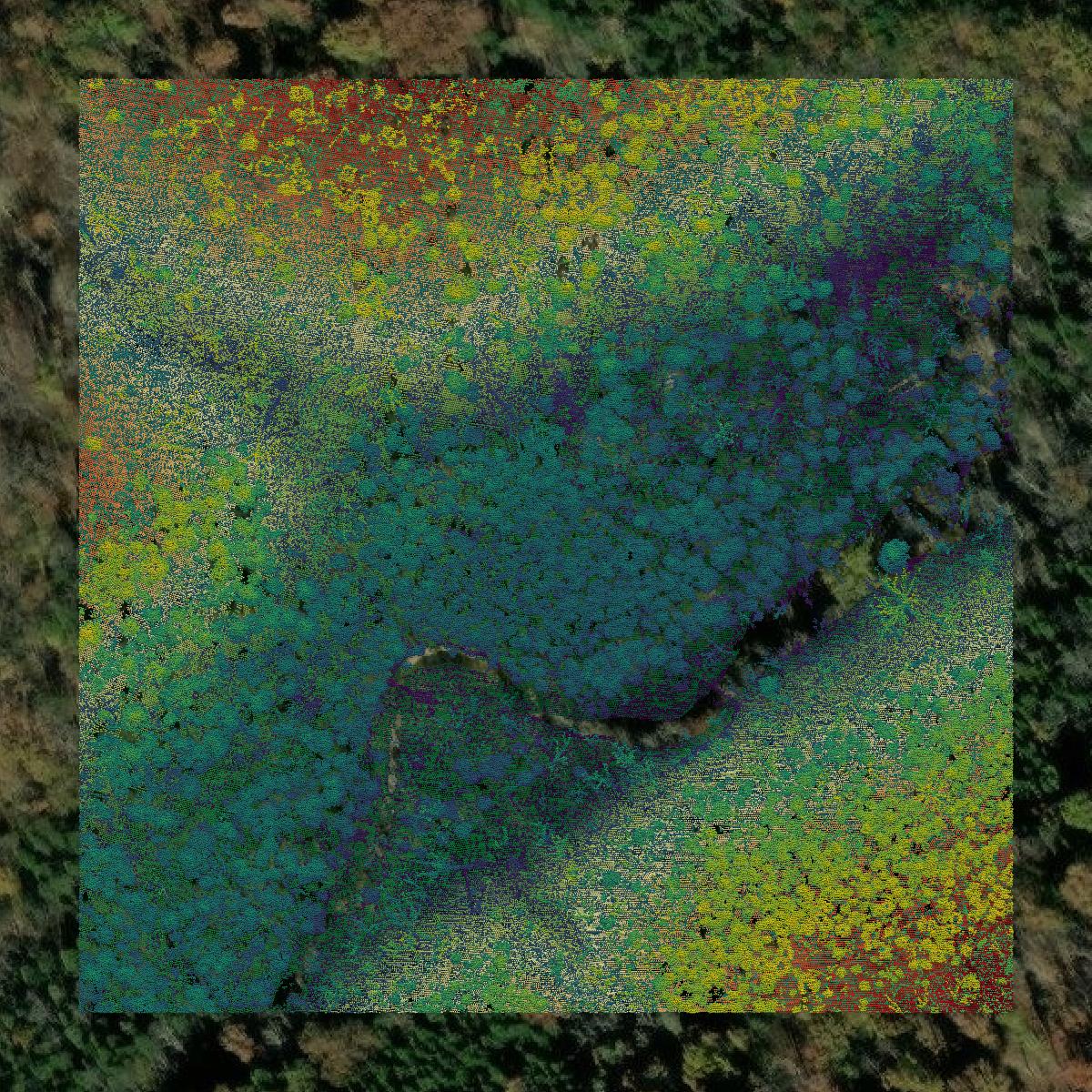 This image shows a LiDAR point cloud in Adams County created using GIS data in Equator.