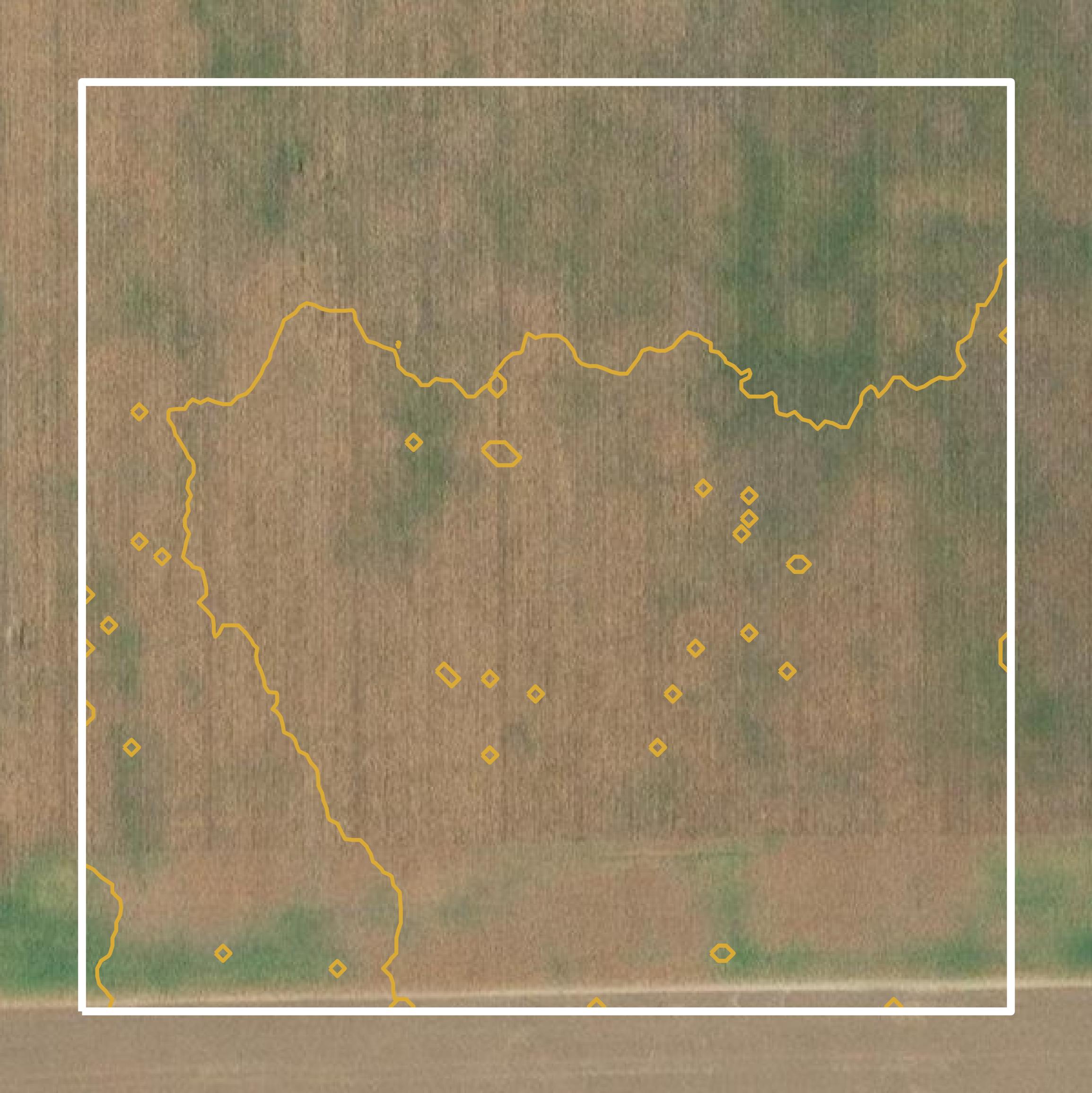 This image shows a contour map in Allen County created using GIS data in Equator.