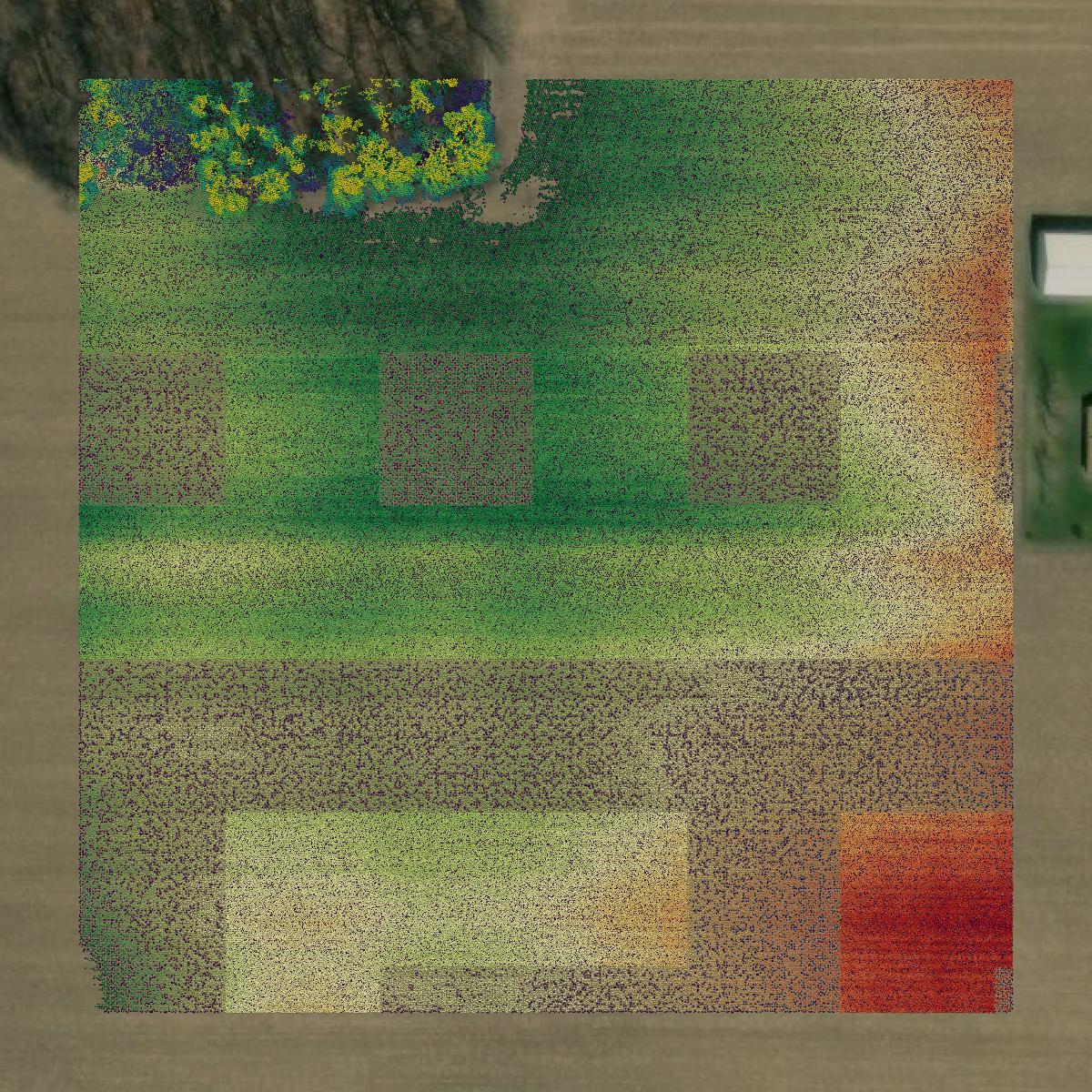 This image shows a LiDAR point cloud in Allen County created using GIS data in Equator.