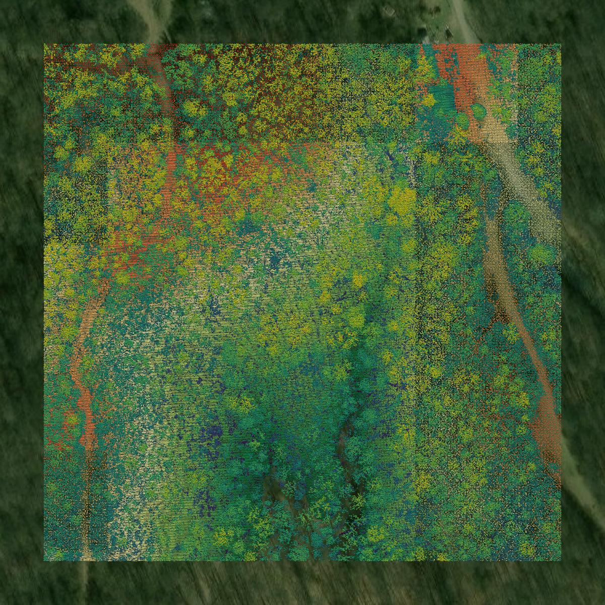 This image shows a LiDAR point cloud in Athens County created using GIS data in Equator.