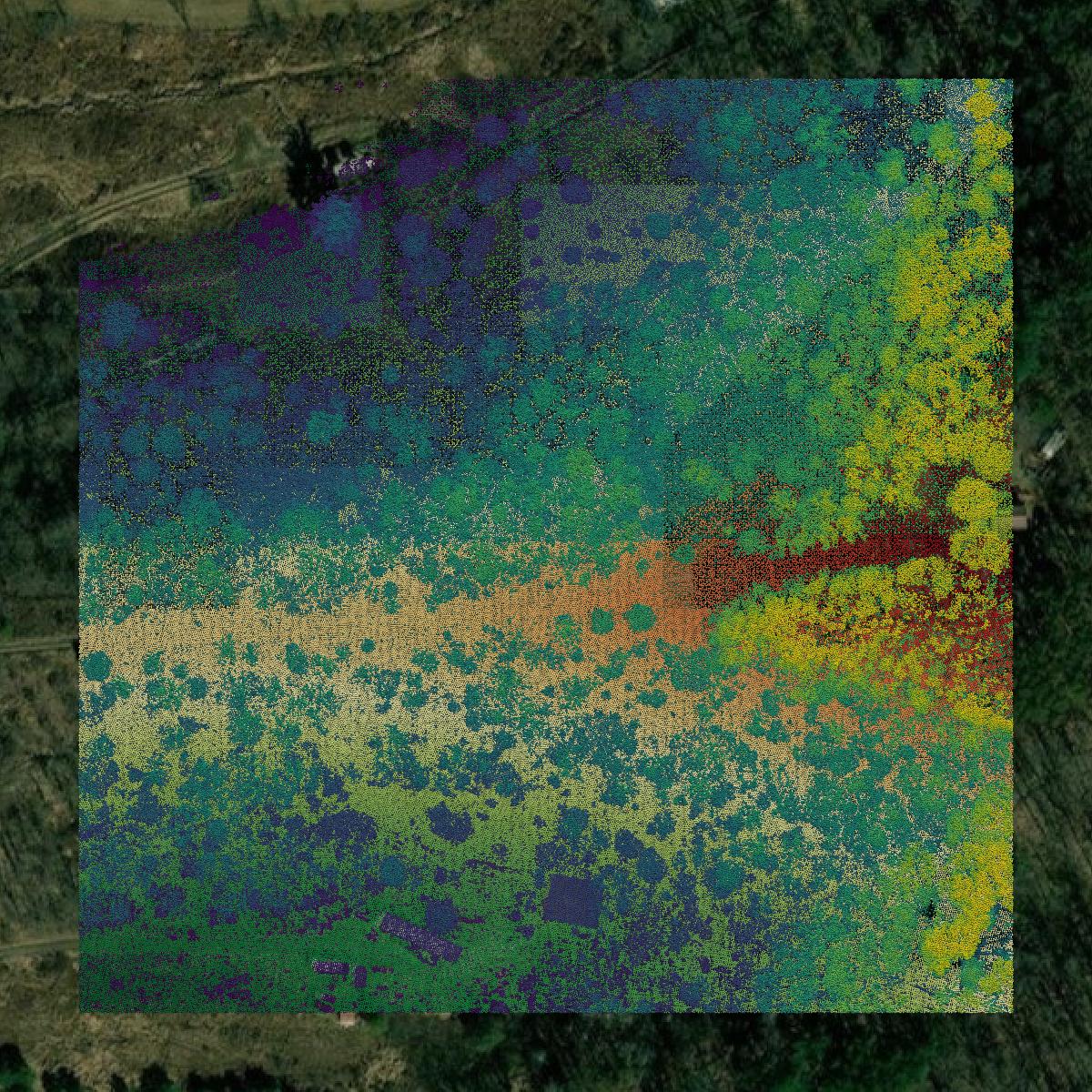 This image shows a LiDAR point cloud in Carroll County created using GIS data in Equator.