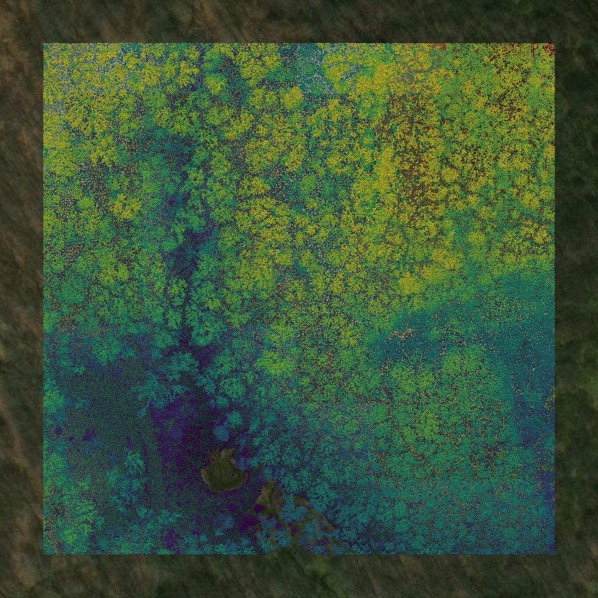 This image shows a LiDAR point cloud in Carroll County created using GIS data in Equator.