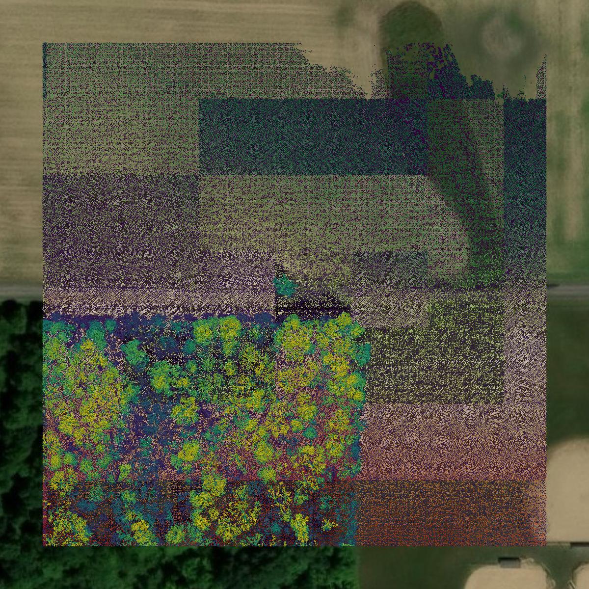 This image shows a LiDAR point cloud in Columbiana County created using GIS data in Equator.