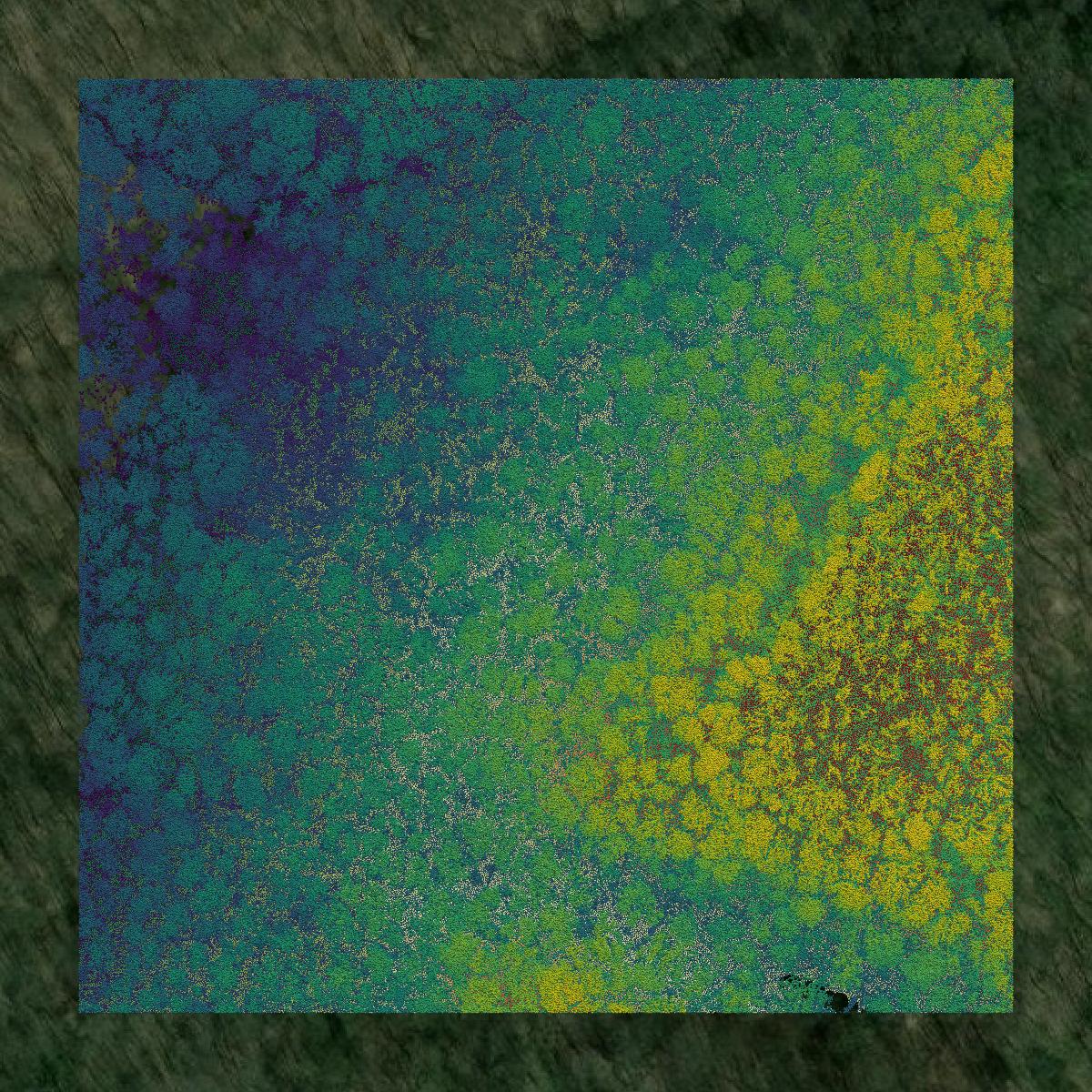 This image shows a LiDAR point cloud in Coshocton County created using GIS data in Equator.