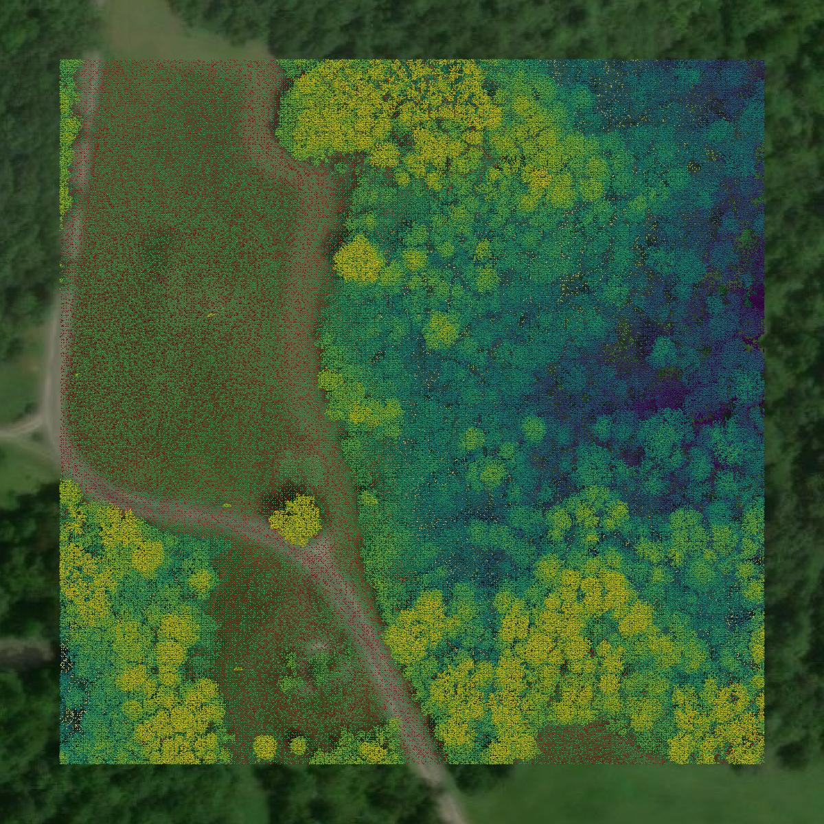 This image shows a LiDAR point cloud in Gallia County created using GIS data in Equator.