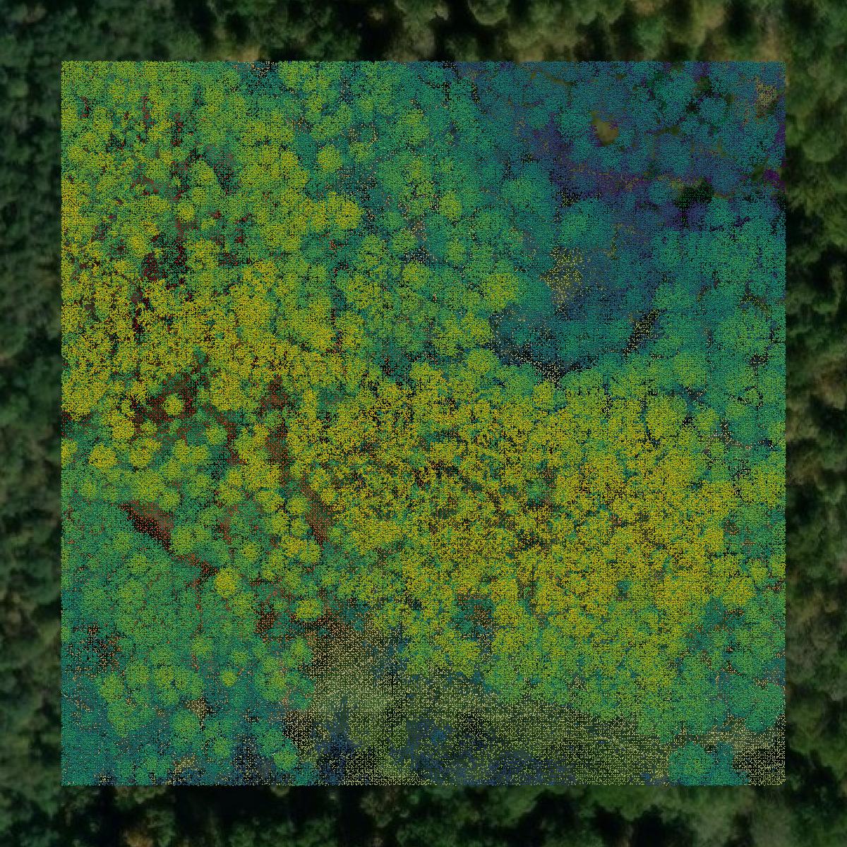 This image shows a LiDAR point cloud in Gallia County created using GIS data in Equator.