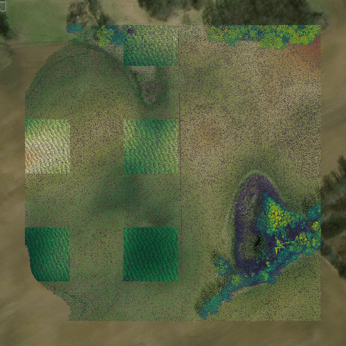 This image shows a LiDAR point cloud in Greene County created using GIS data in Equator.