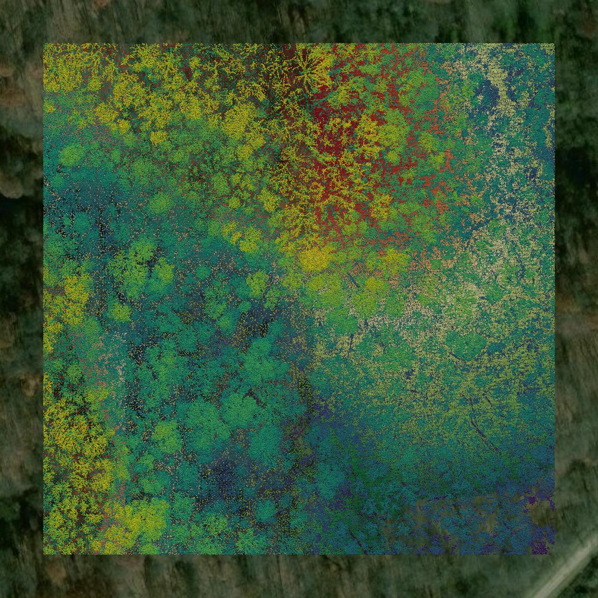 This image shows a LiDAR point cloud in Guernsey County created using GIS data in Equator.