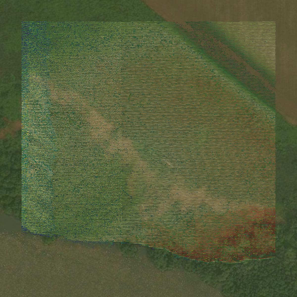 This image shows a LiDAR point cloud in Hamilton County created using GIS data in Equator.