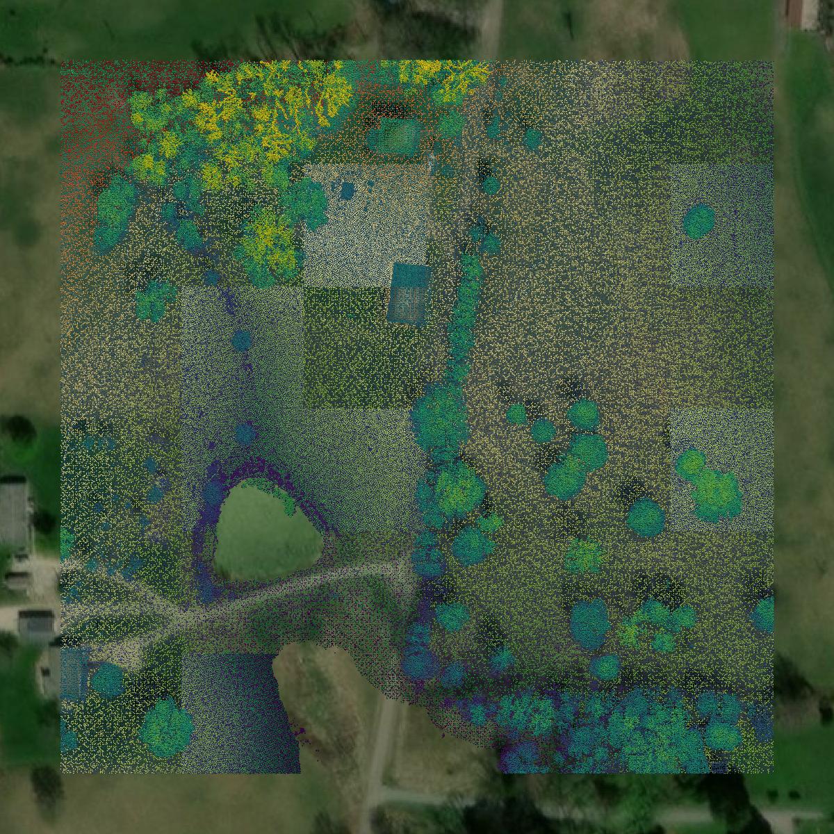 This image shows a LiDAR point cloud in Harrison County created using GIS data in Equator.