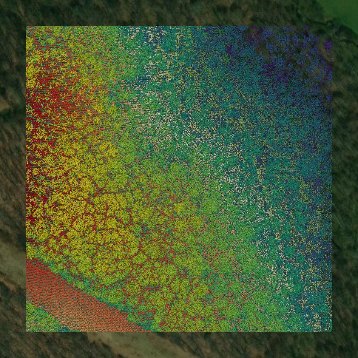 This image shows a LiDAR point cloud in Harrison County created using GIS data in Equator.