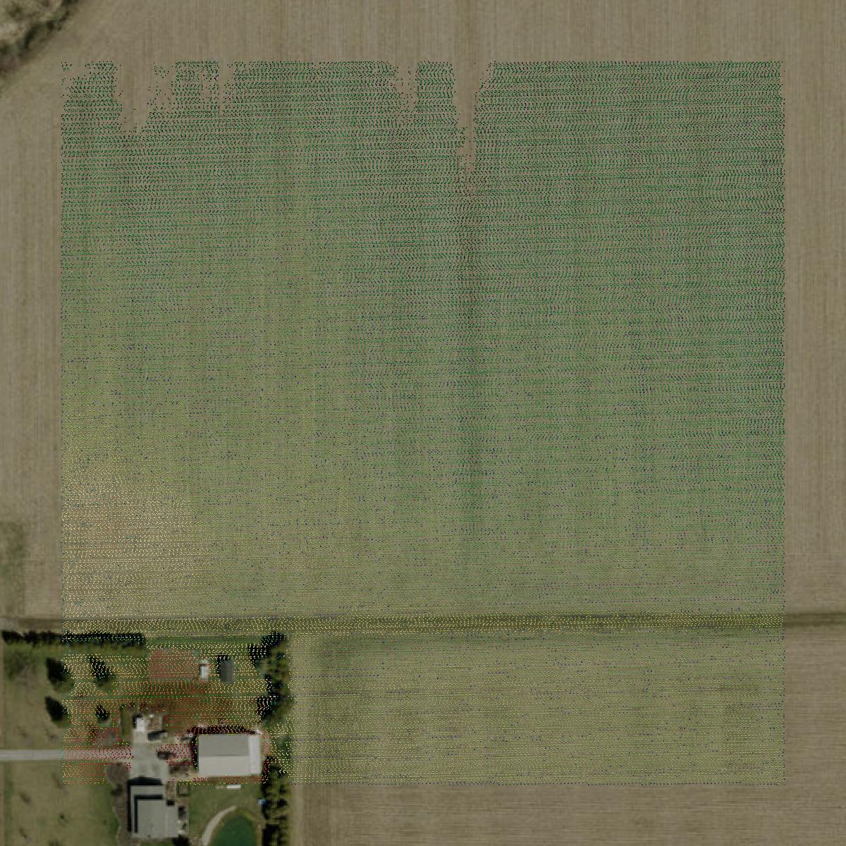 This image shows a LiDAR point cloud in Henry County created using GIS data in Equator.