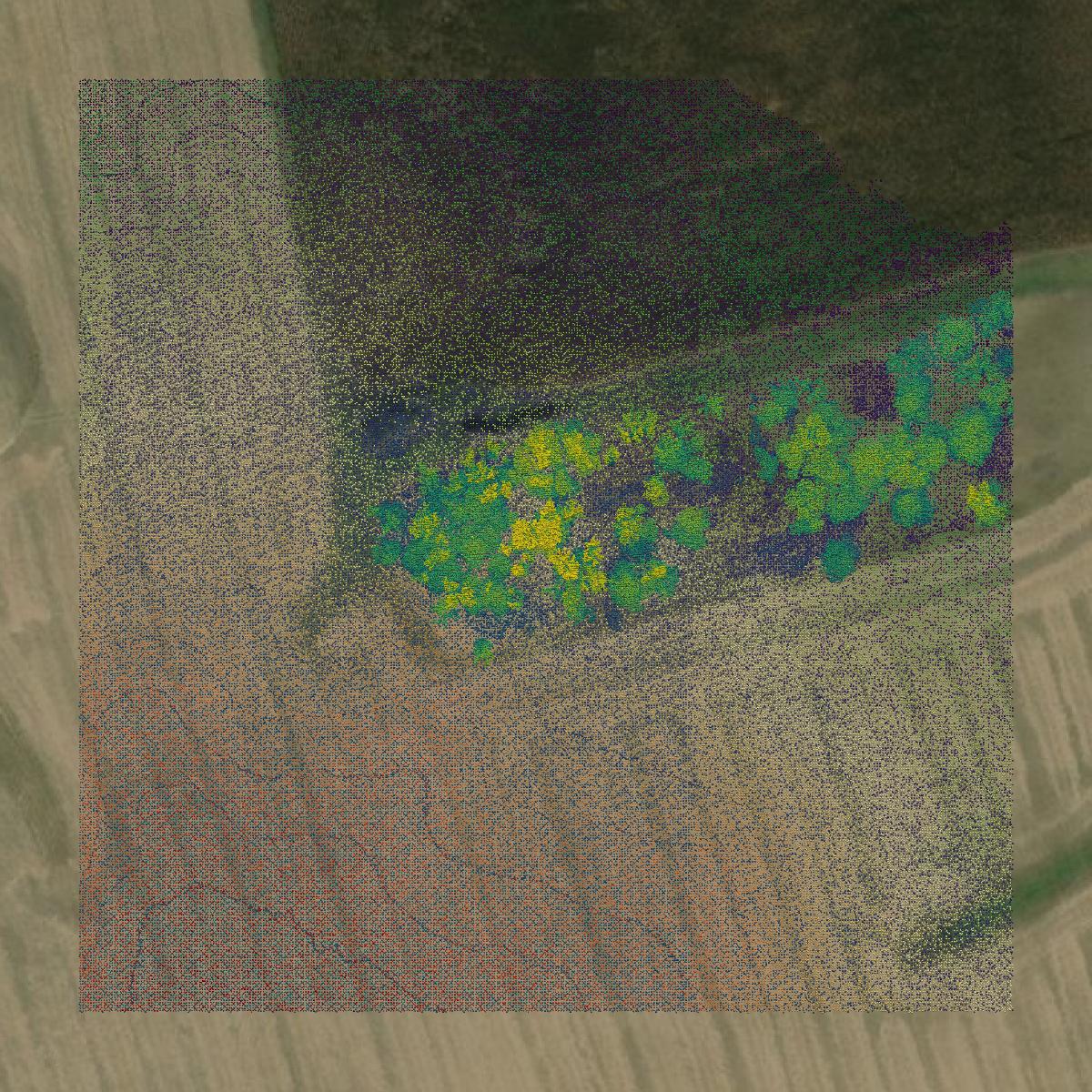 This image shows a LiDAR point cloud in Highland County created using GIS data in Equator.