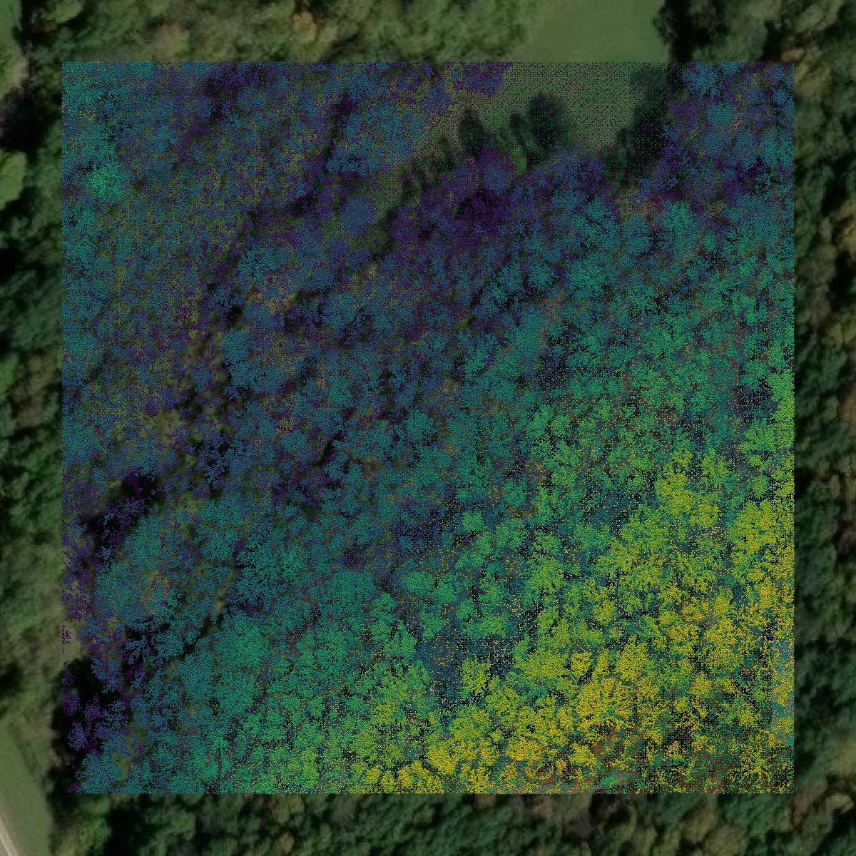 This image shows a LiDAR point cloud in Hocking County created using GIS data in Equator.