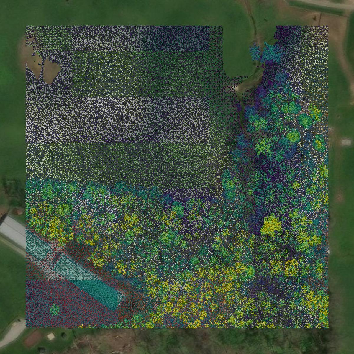This image shows a LiDAR point cloud in Holmes County created using GIS data in Equator.