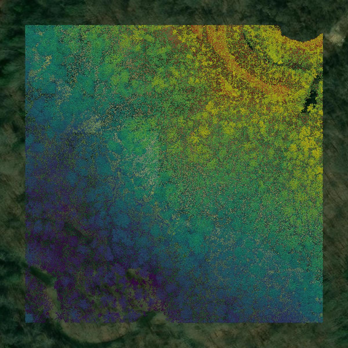 This image shows a LiDAR point cloud in Jefferson County created using GIS data in Equator.