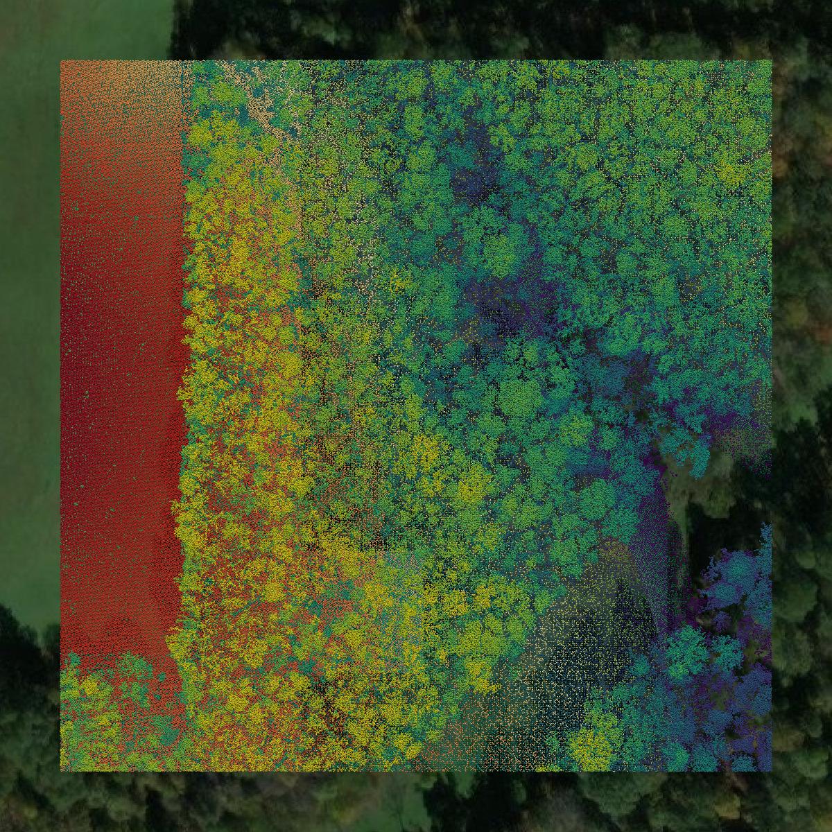 This image shows a LiDAR point cloud in Jefferson County created using GIS data in Equator.