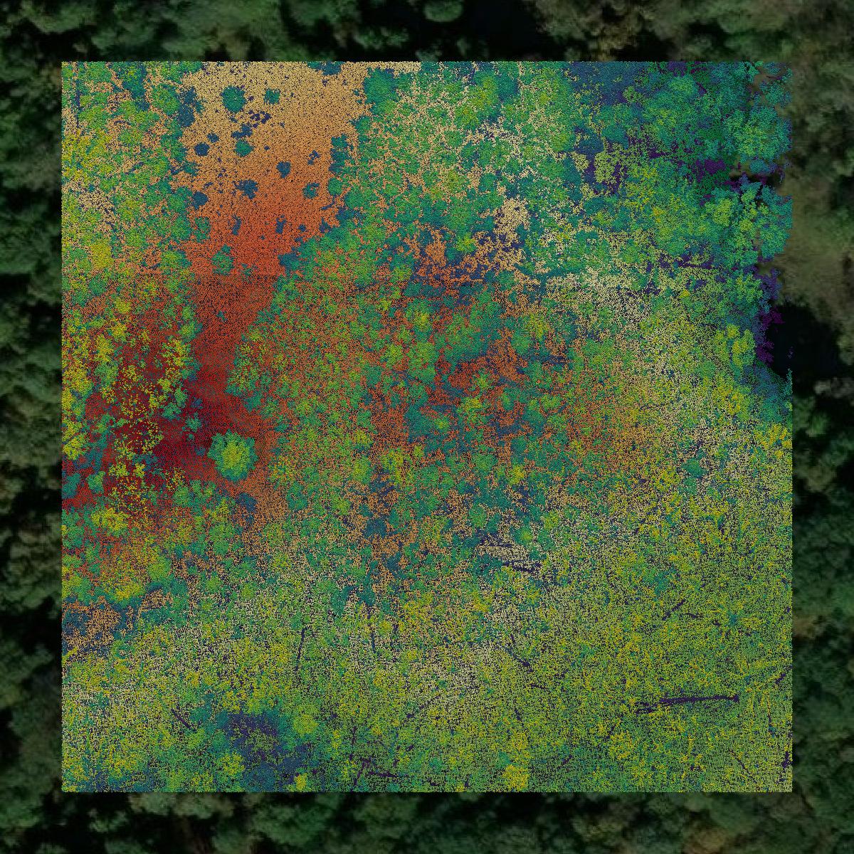 This image shows a LiDAR point cloud in Lake County created using GIS data in Equator.