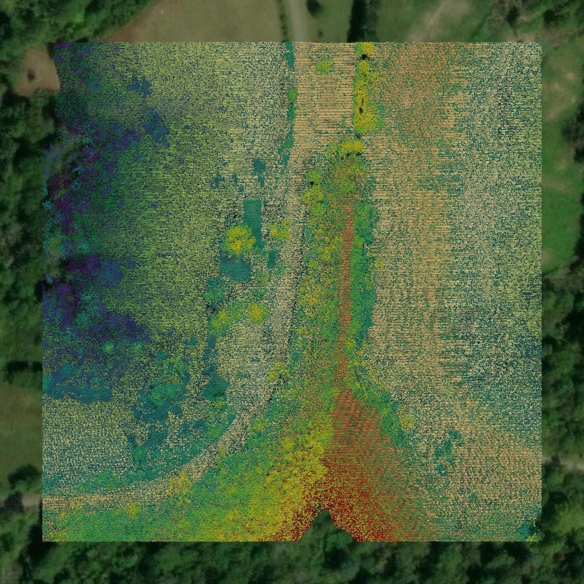 This image shows a LiDAR point cloud in Lawrence County created using GIS data in Equator.