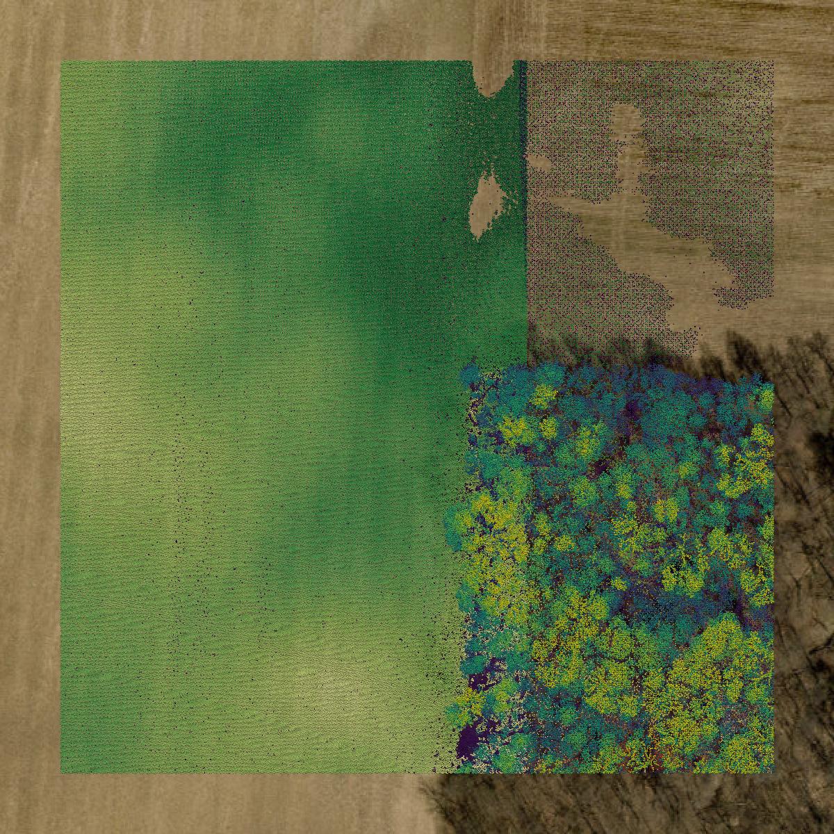This image shows a LiDAR point cloud in Licking County created using GIS data in Equator.