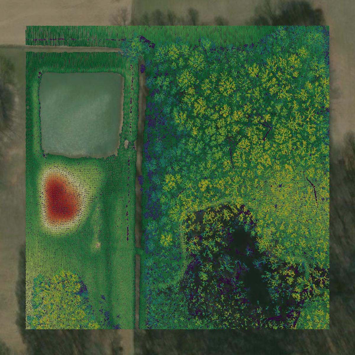 This image shows a LiDAR point cloud in Lorain County created using GIS data in Equator.